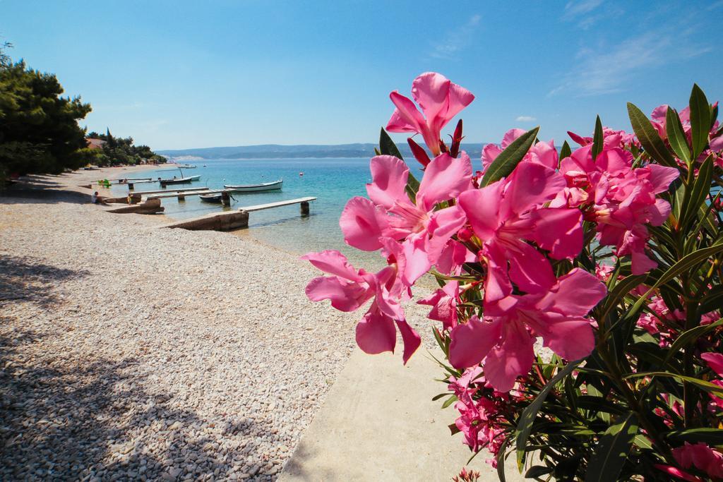 Apartments Dada Omiš Екстериор снимка